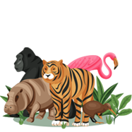 야생동물 및 희귀 동식물 아이콘